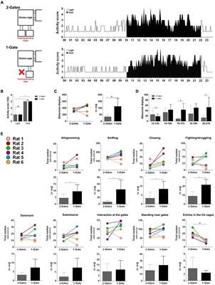 Shaping social behavior in an enriched environment